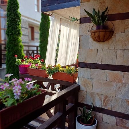 בנסקו Mila Vip Apartment מראה חיצוני תמונה