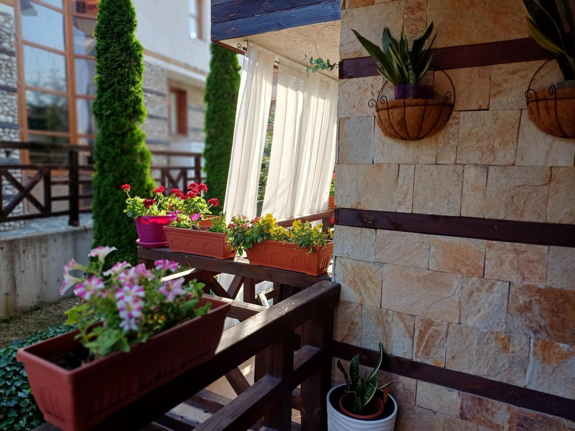 בנסקו Mila Vip Apartment מראה חיצוני תמונה